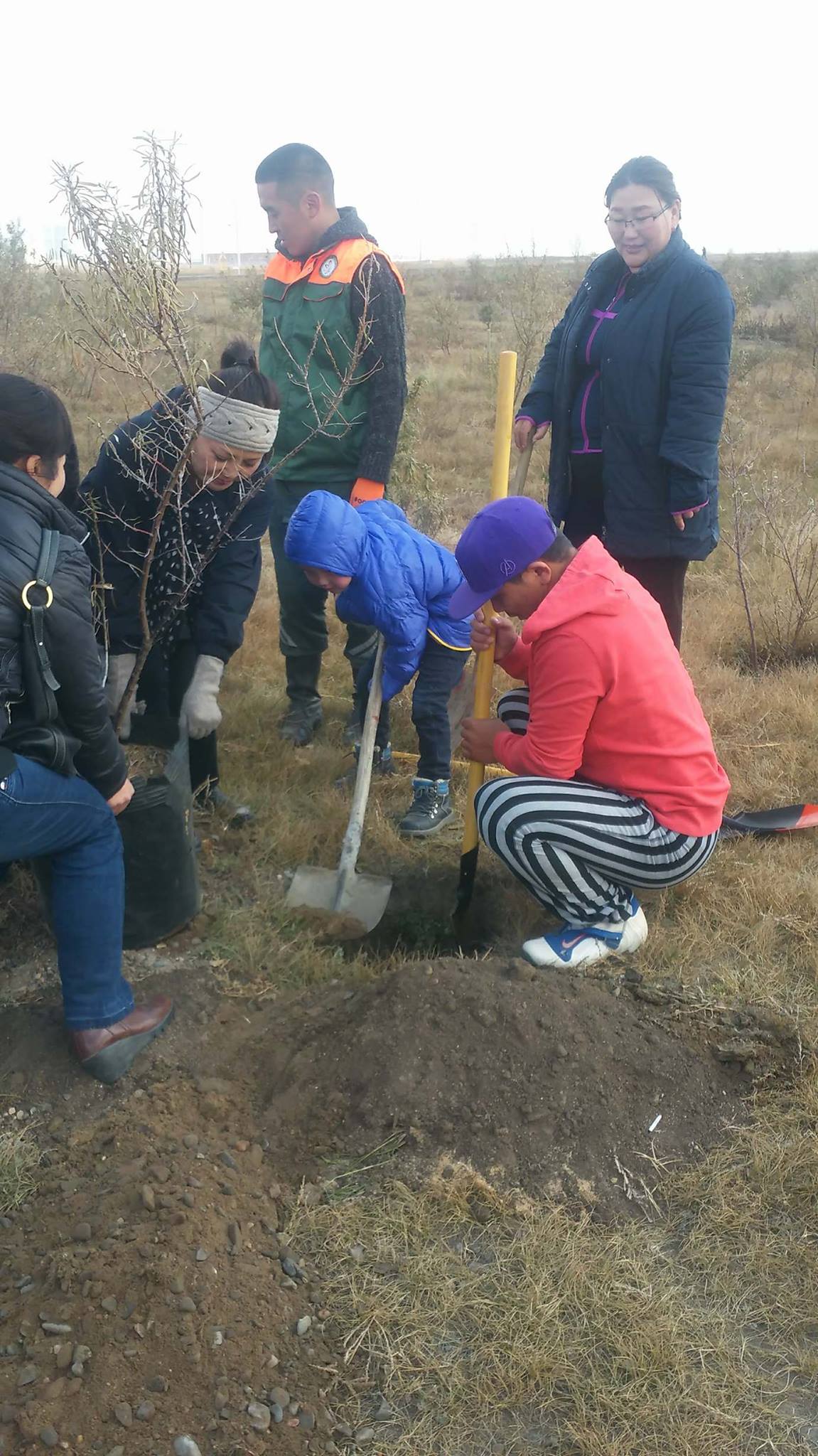 Үндэсний цэцэрлэгт хүрээлэнд мод тарилаа.