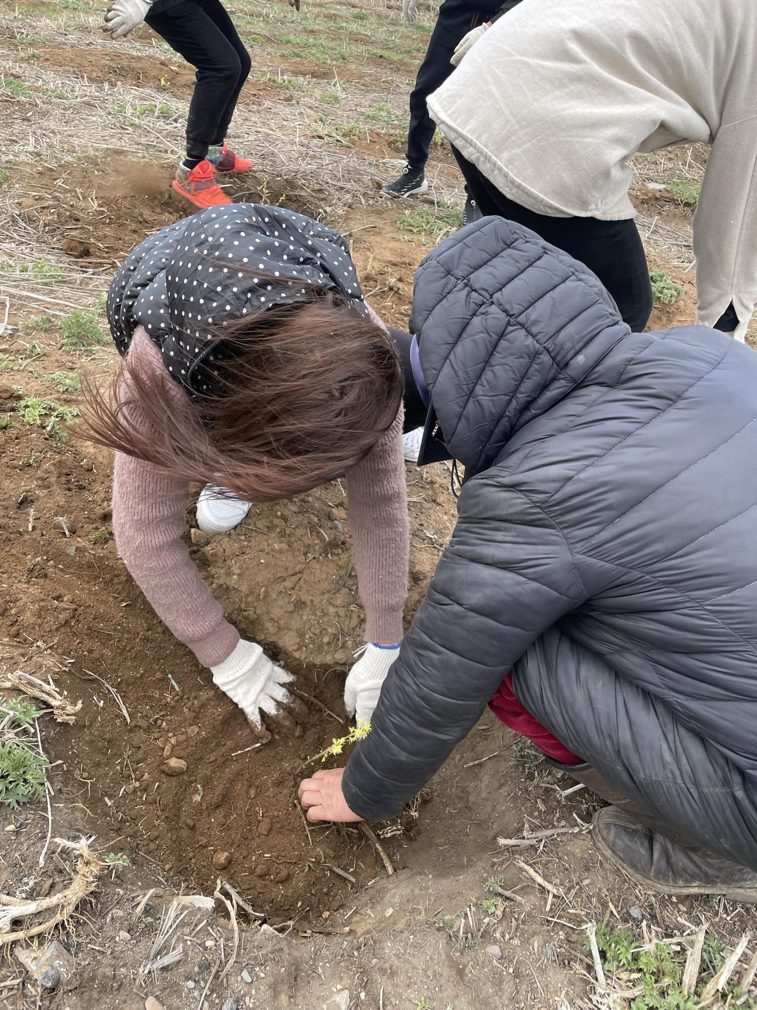 "Хаврын мод тарих" аянд нэгдлээ