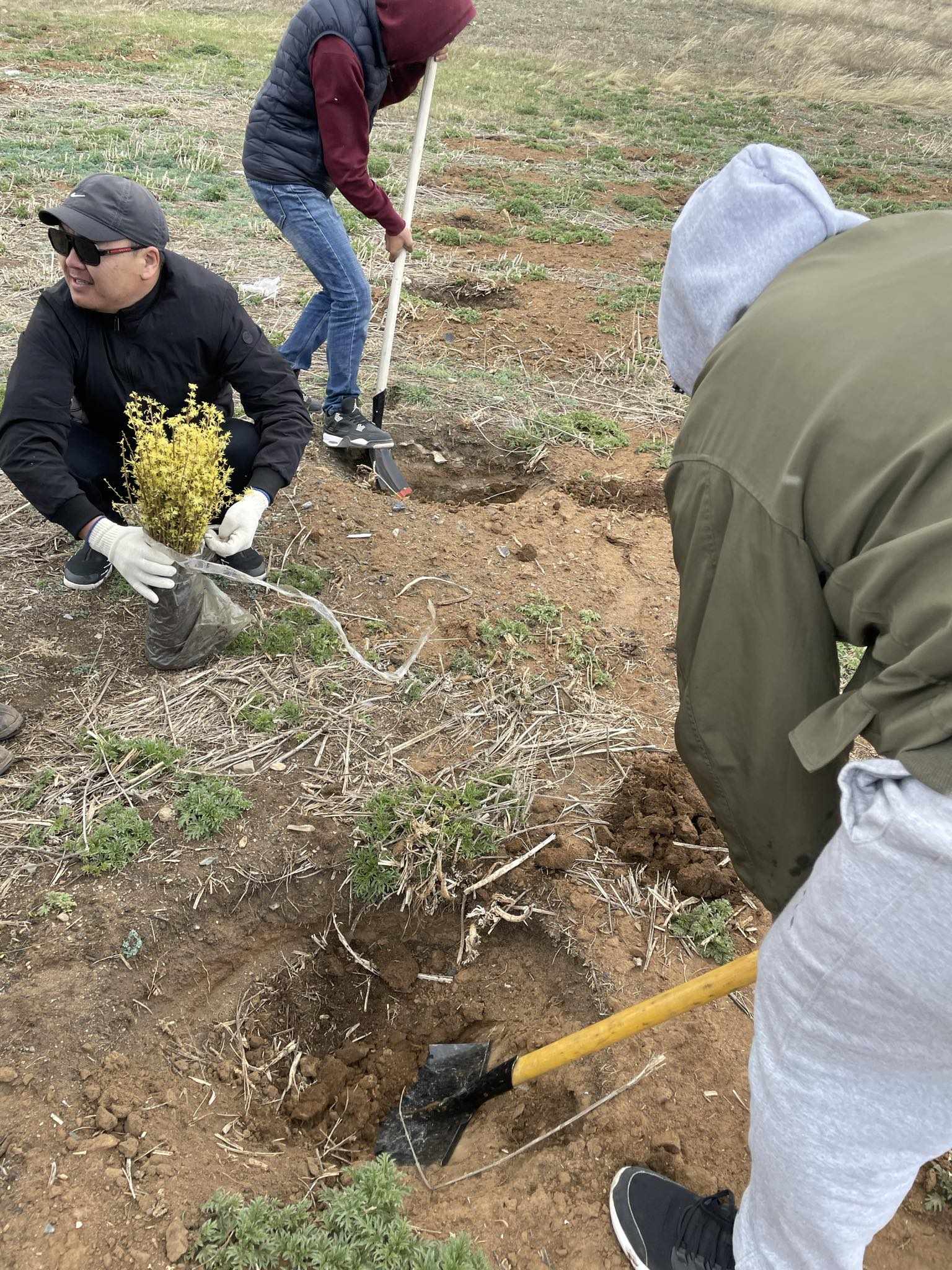 "Хаврын мод тарих" аянд нэгдлээ