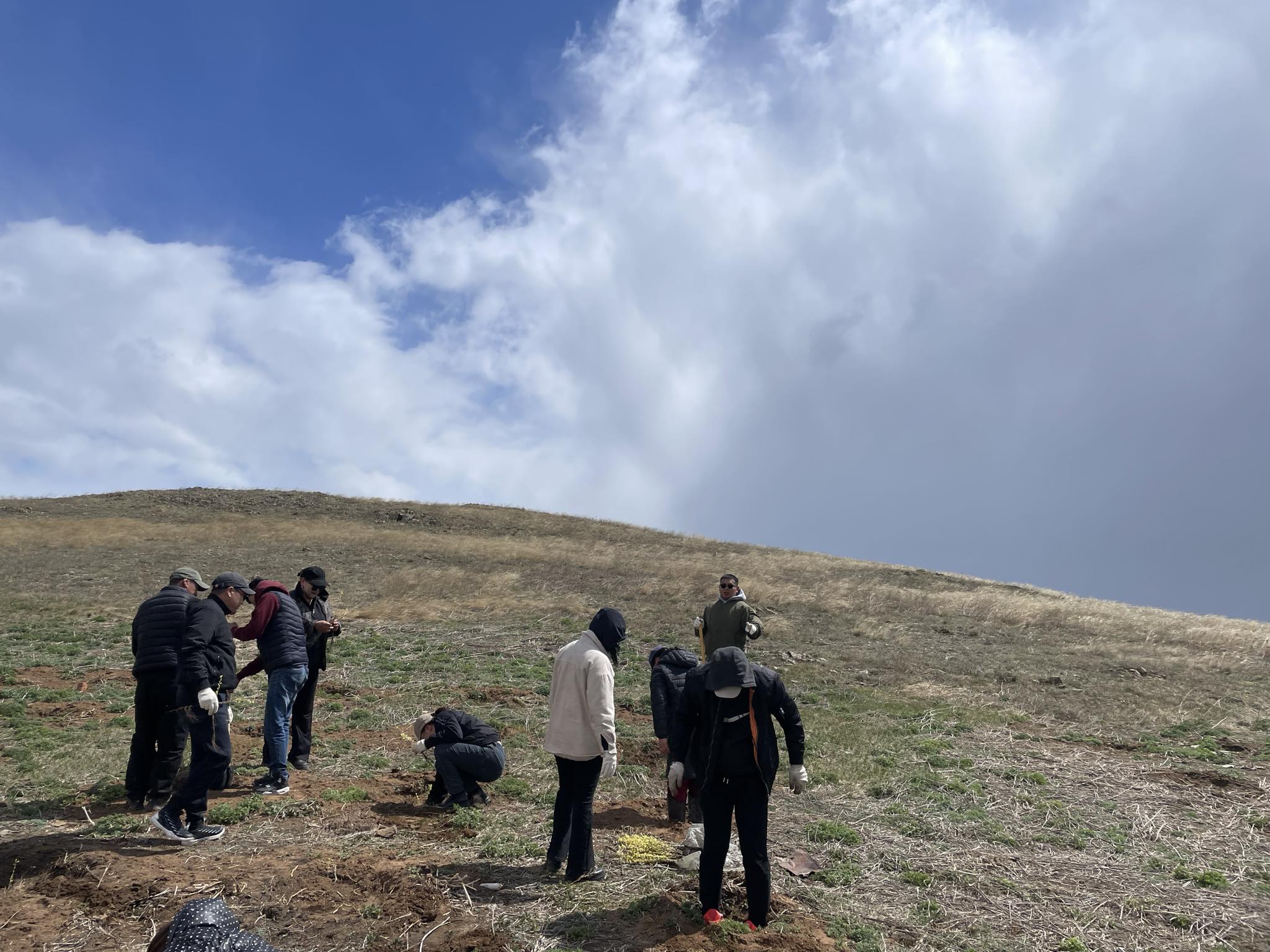 "Хаврын мод тарих" аянд нэгдлээ