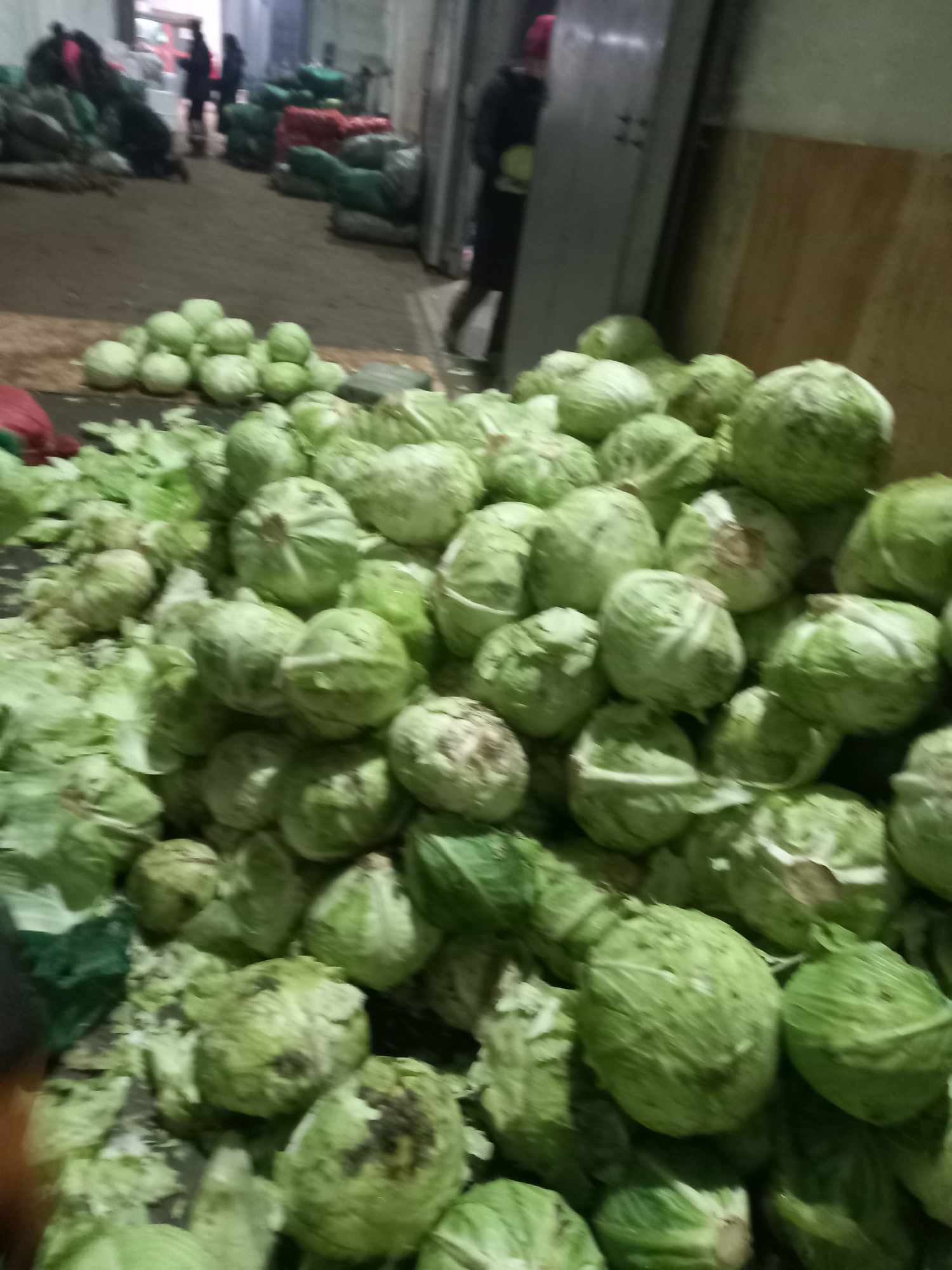 Бэлтгэн нийлүүлэгч компаны үйл явцтай танилцлаа.