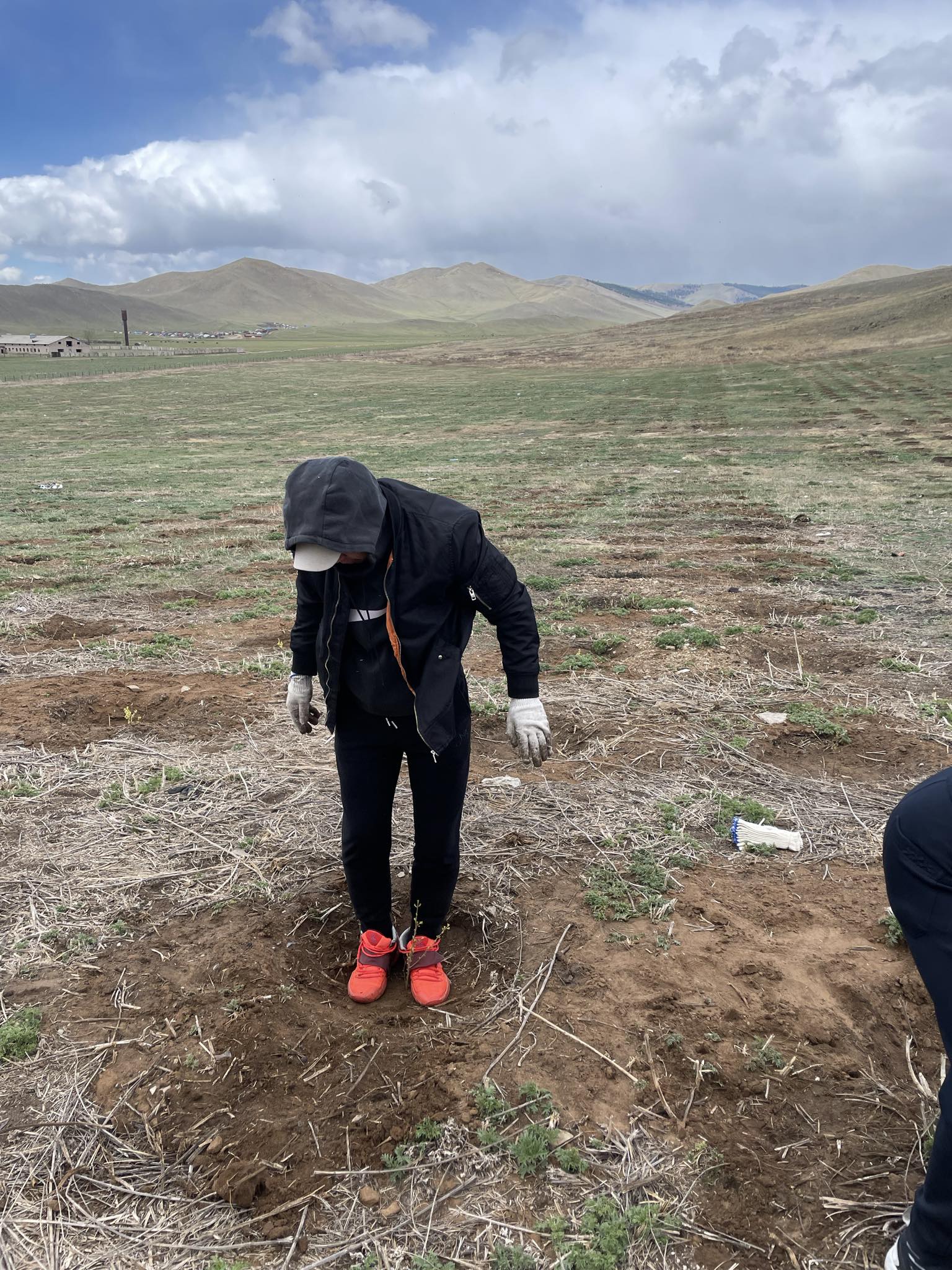 "Хаврын мод тарих" аянд нэгдлээ