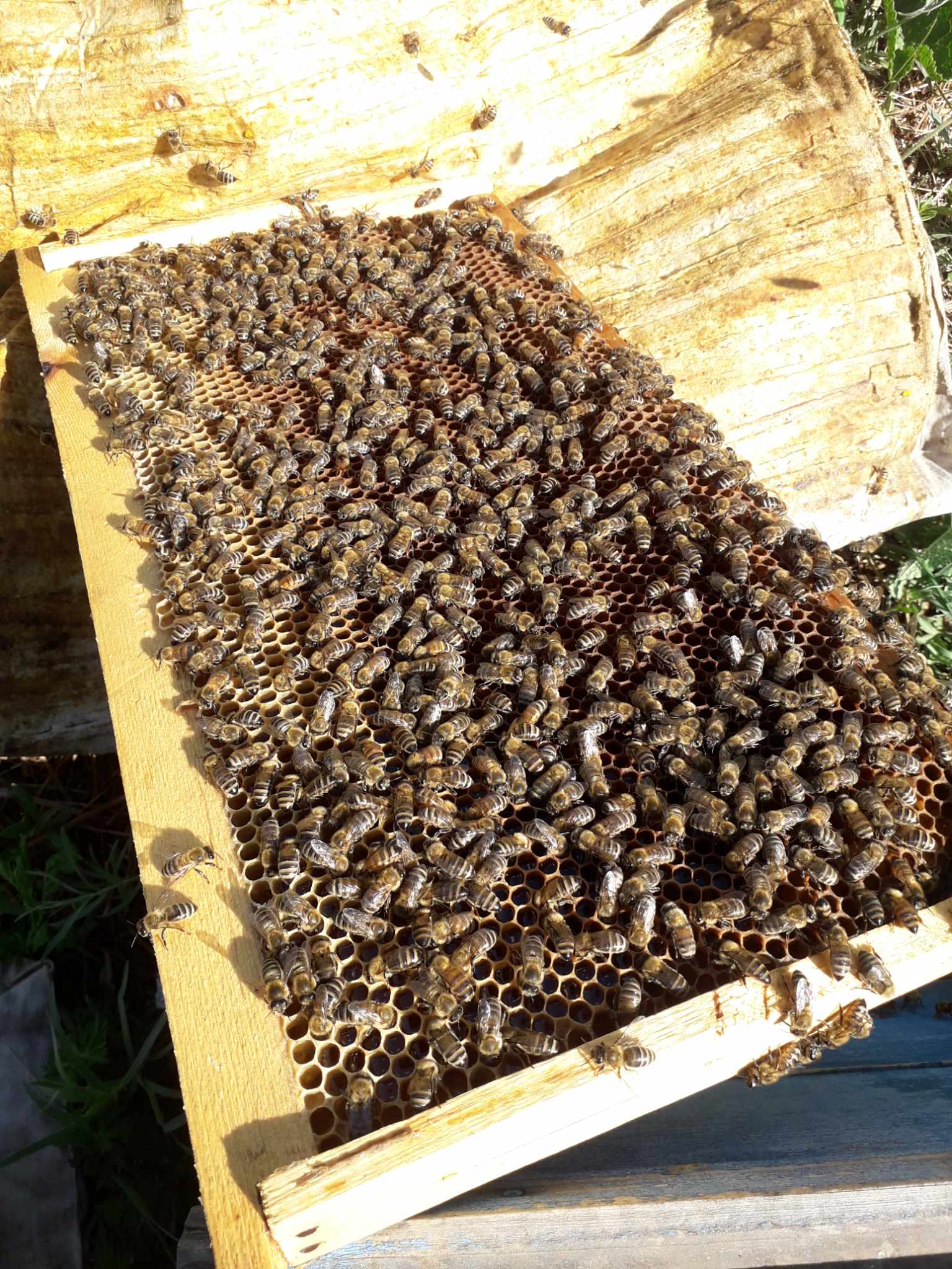 Бэлтгэн нийлүүлэгч байгууллагуудын агуулахад хяналт шалгалт хийж ажиллаа