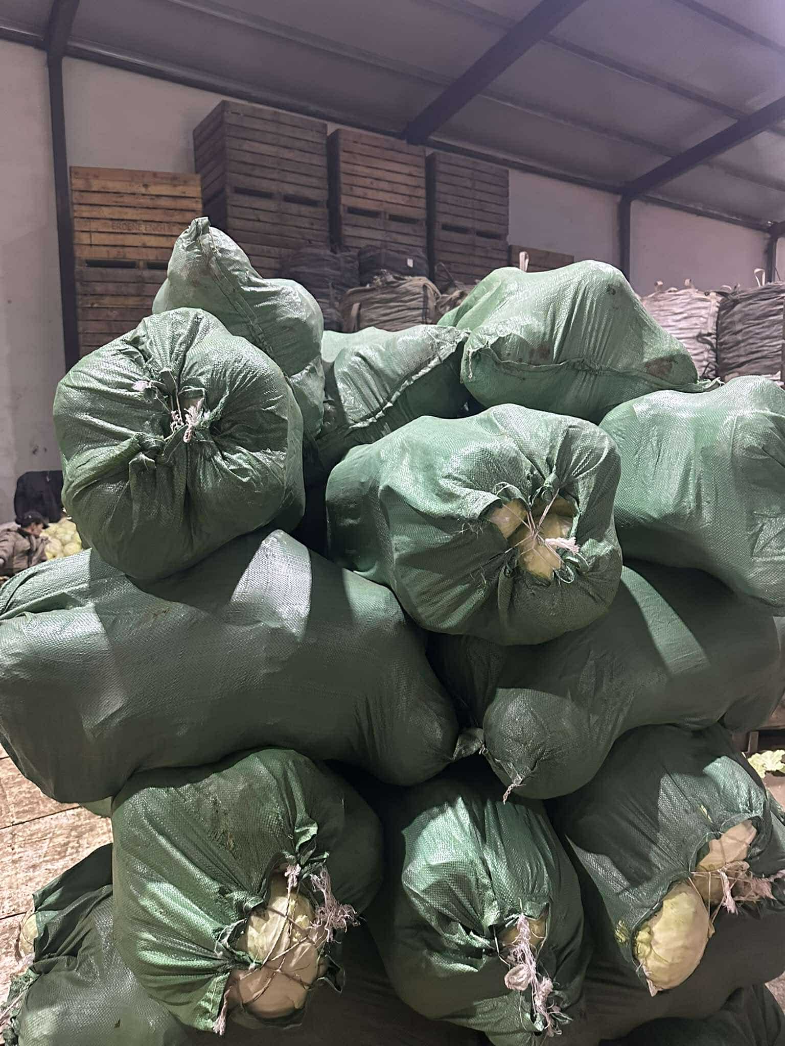 Дотоод хяналт шалгалт хийж ажиллаа.