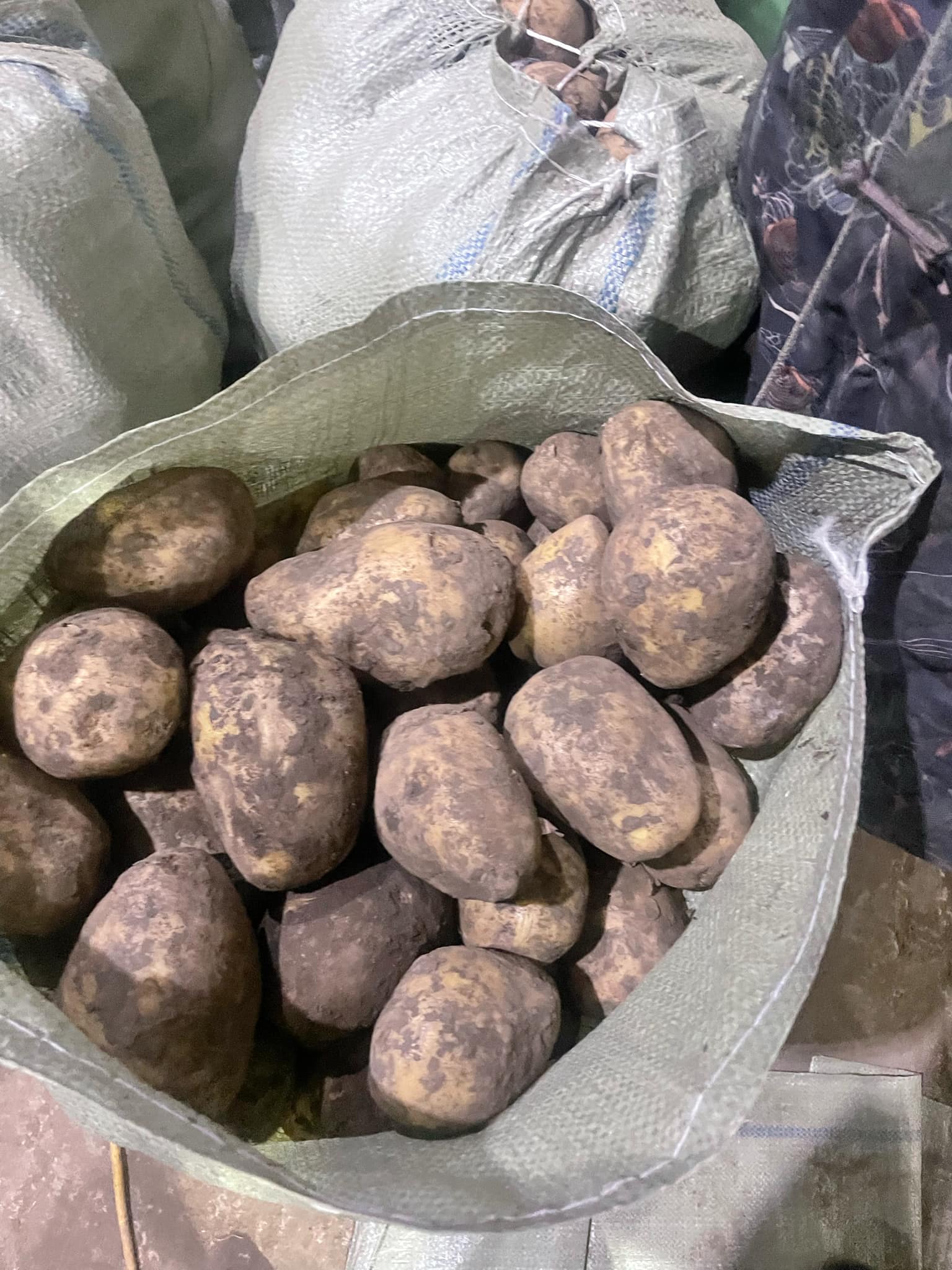 Дотоод хяналт шалгалт хийж ажиллаа.